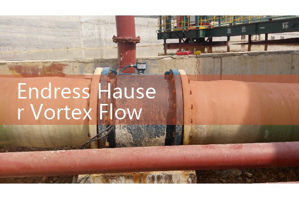 Endress Hauser Vortex Flow Meter Manual Download: Wiring and Configuration Guide